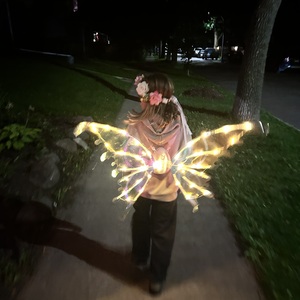 Fundraising Page: Stevie’s STEPileptics